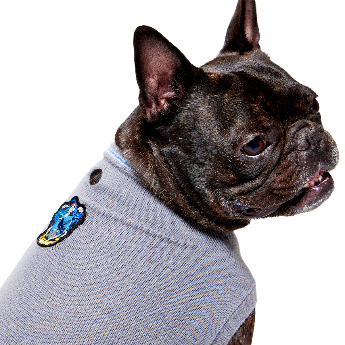 HARRY POTTER™ House Dog Sweater#Style_Ravenclaw™