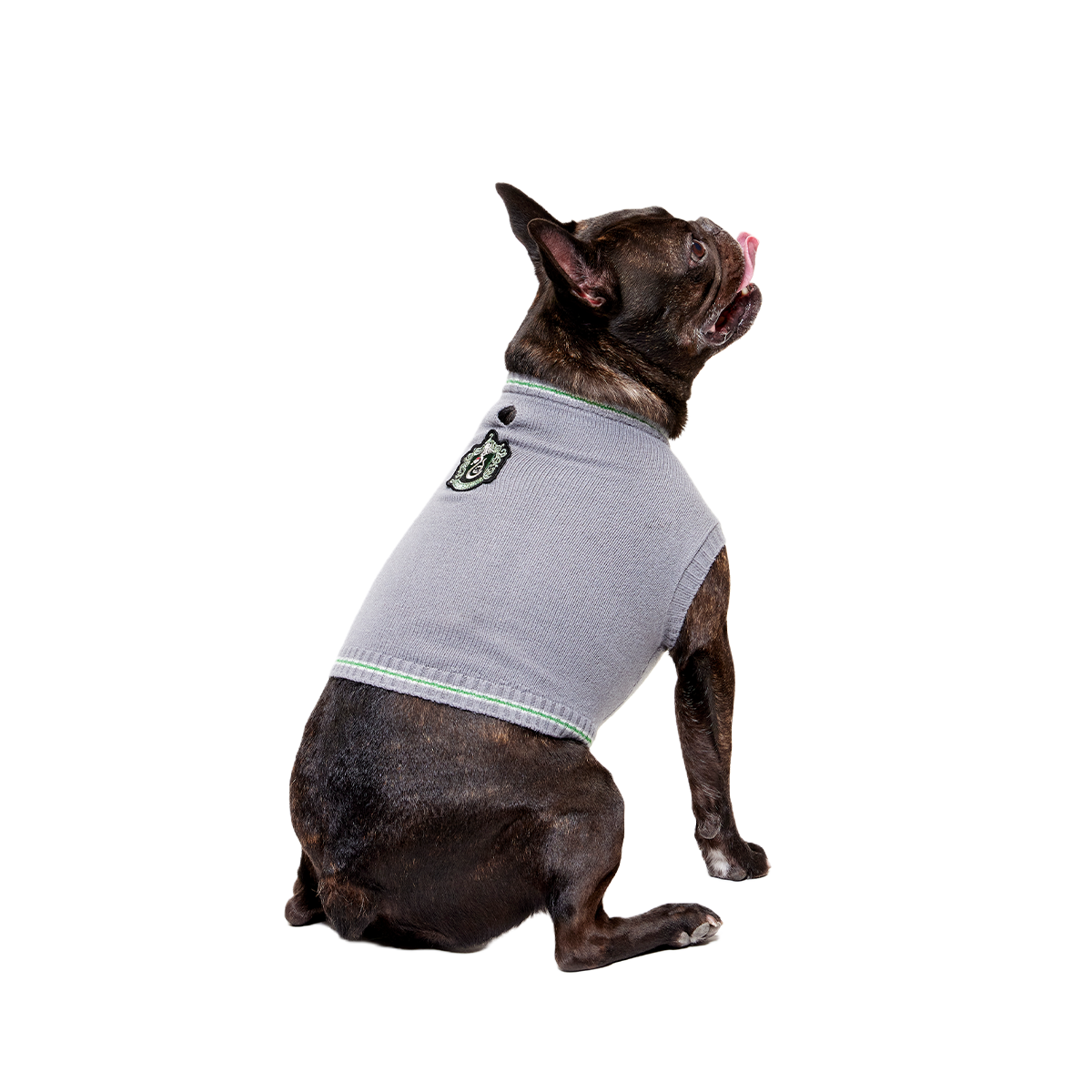 HARRY POTTER™ House Dog Sweater#Style_Slytherin™