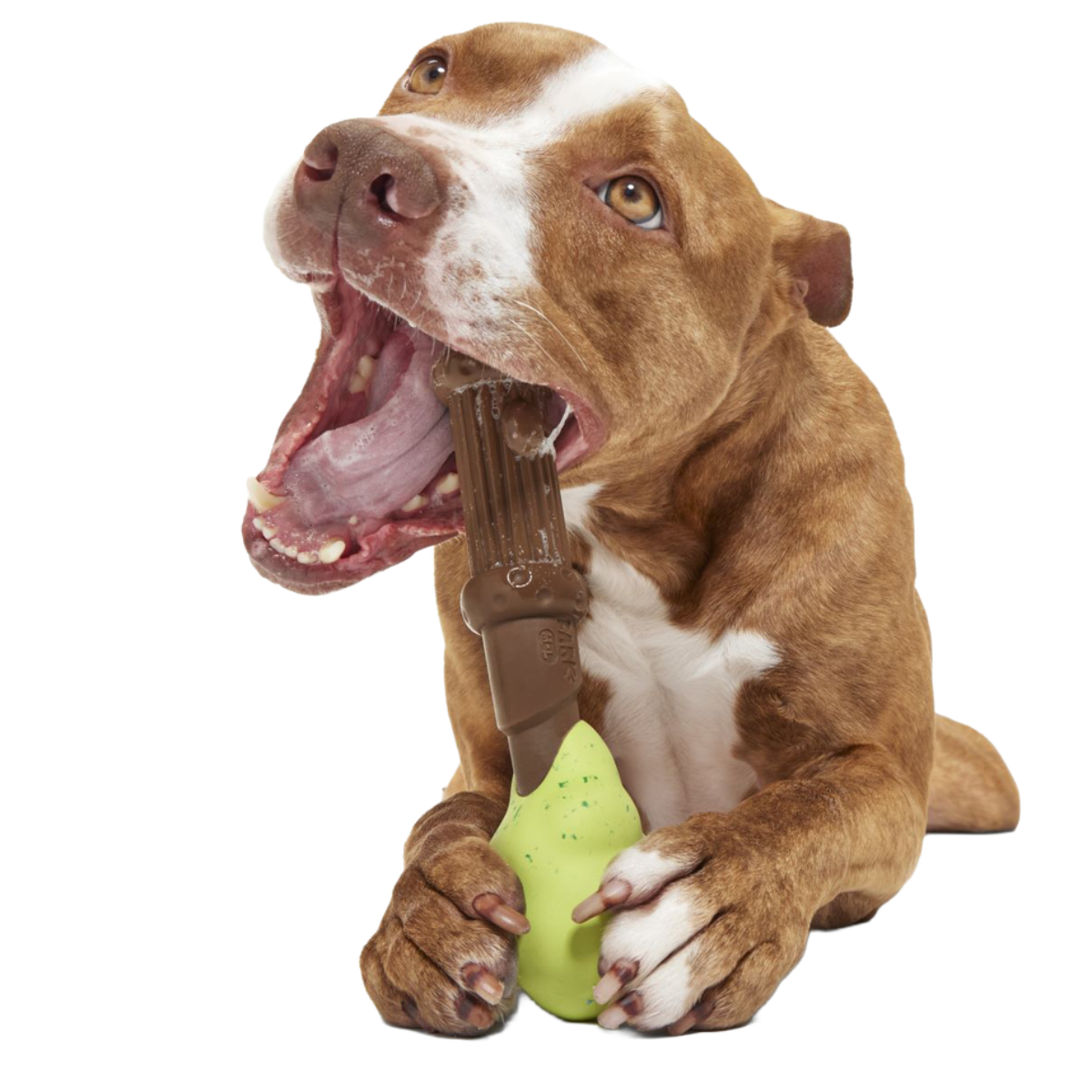 Harry's Bogey™ Wand Super Chewer Durable Gnaw Dog Toy