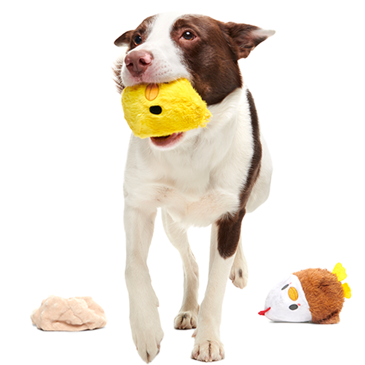 Hatch Me If You Can Super Chewer Durable 4-in-1 Dog Toy