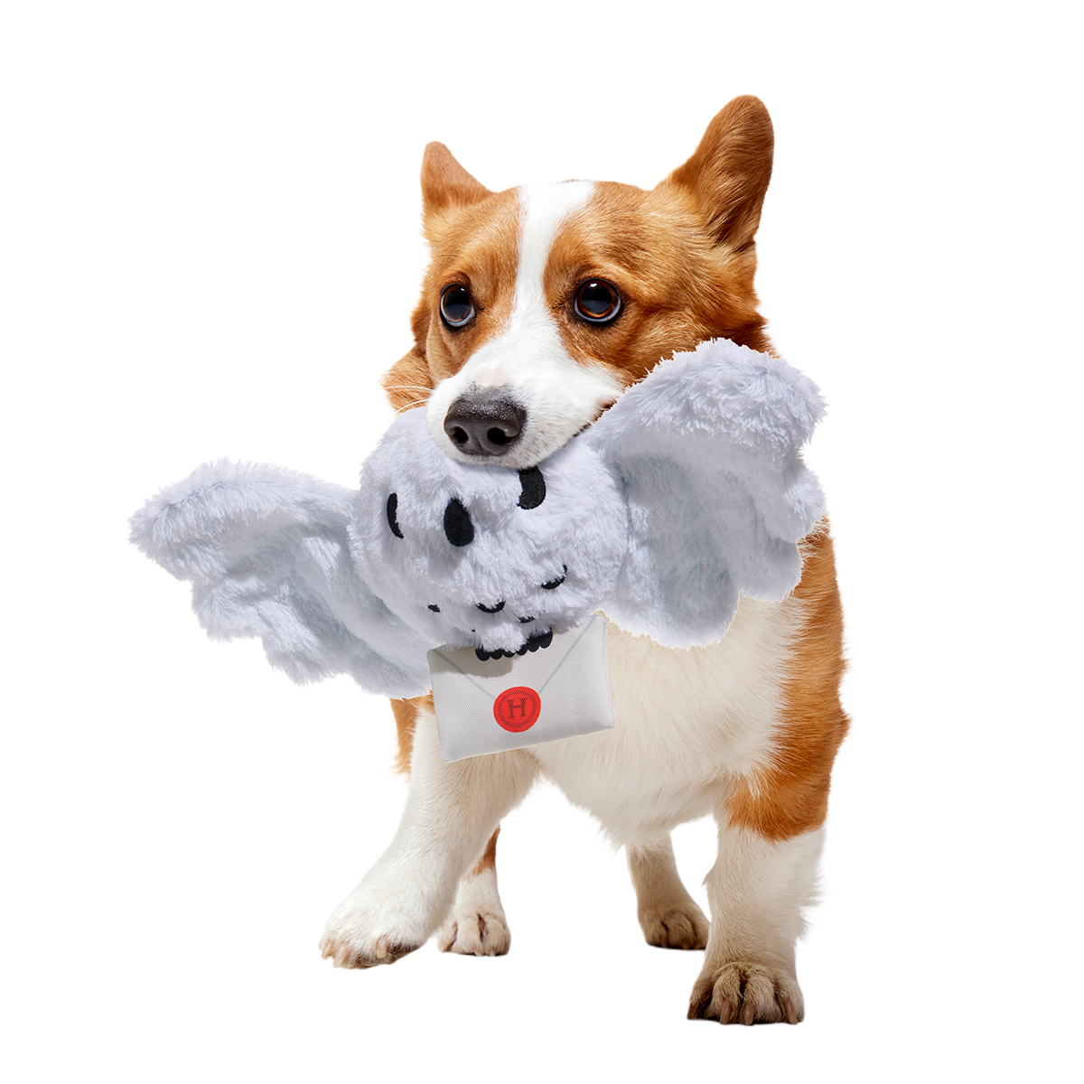 Hedwig™ Plush Tug Dog Toy