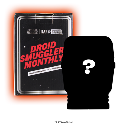 Star Wars™ Droid Smugglers Club, Super Chewer Durable Monthly Dog Toys