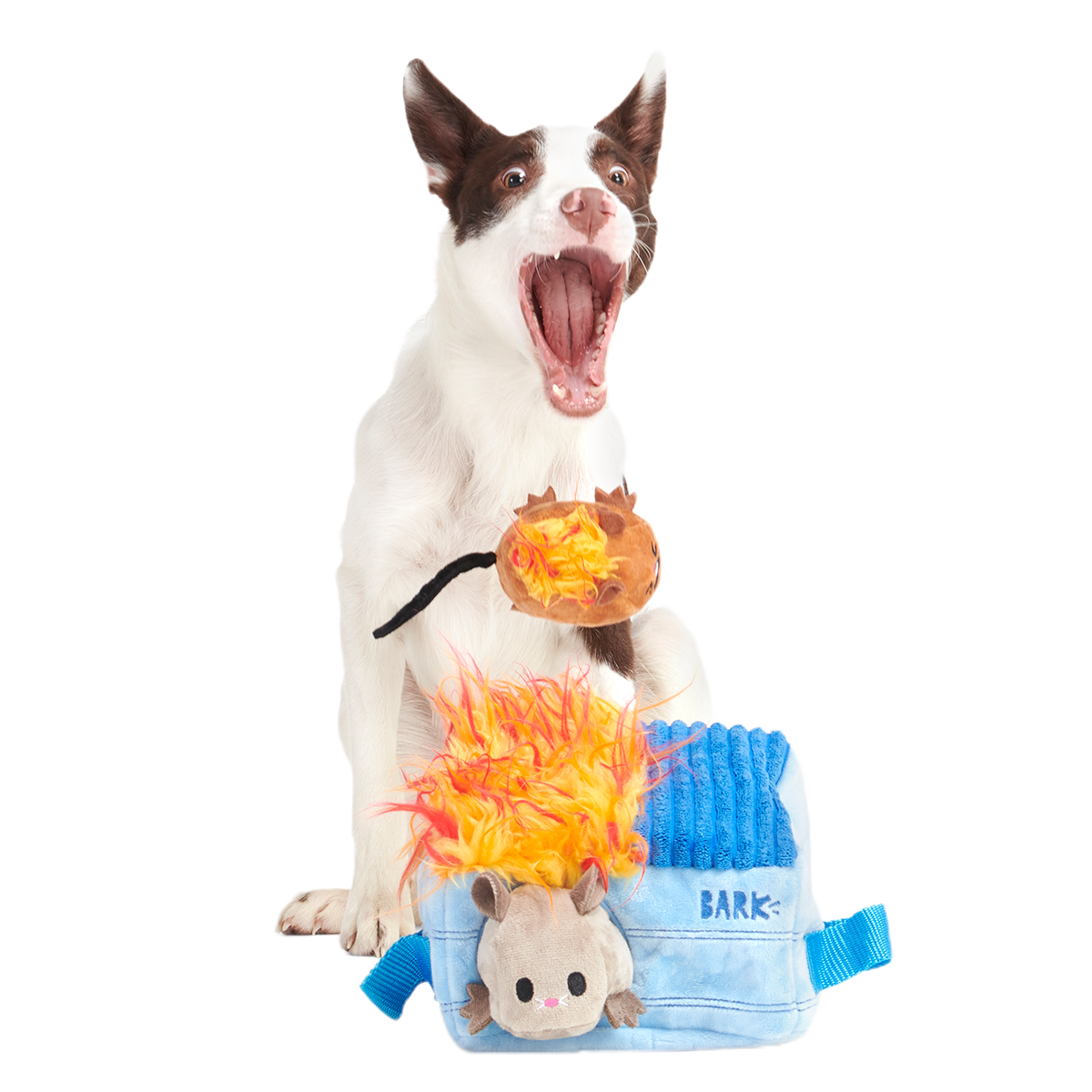 Hide n' Squeak Dumpster Fire Plush Multi-Part + Enrichment Dog Toy