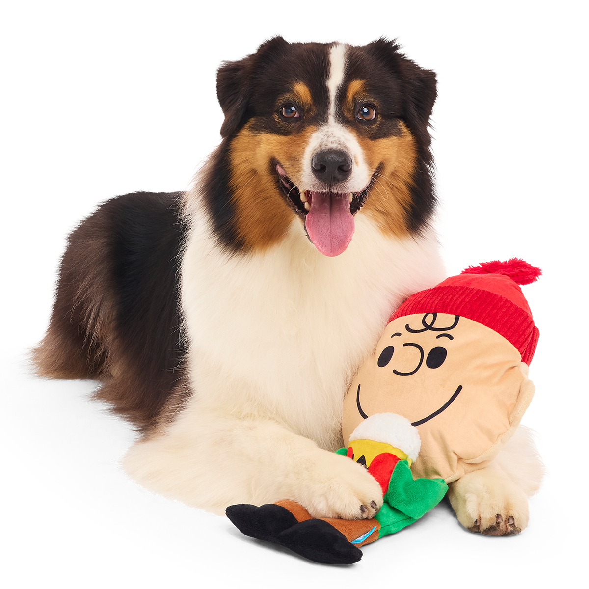Hot Chocolate Charlie Brown Plush Extra-Large + Tug Dog Toy