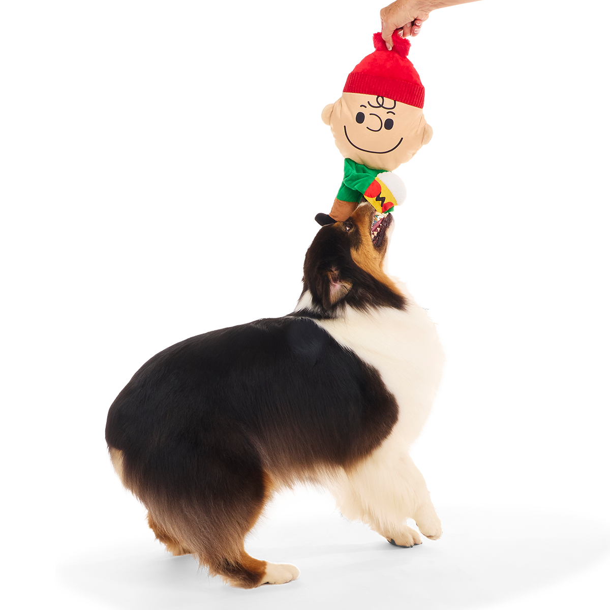 Hot Chocolate Charlie Brown Plush Extra-Large + Tug Dog Toy
