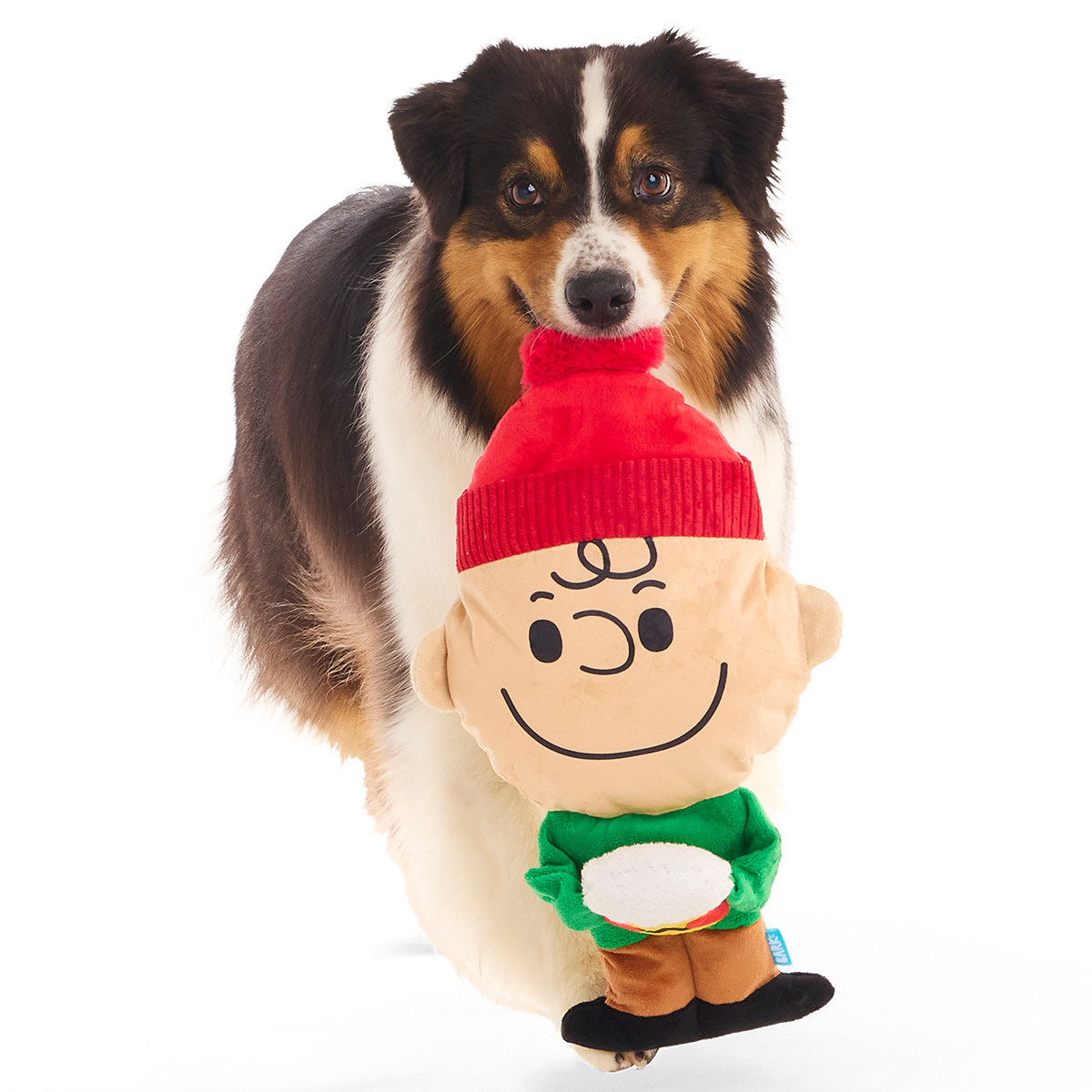 Hot Chocolate Charlie Brown Plush Extra-Large + Tug Dog Toy – BARK