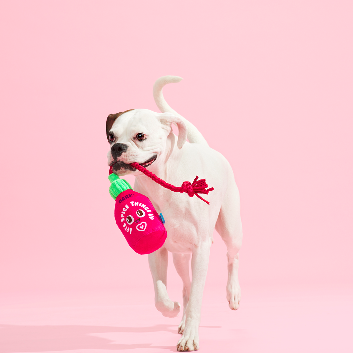 Hot Stuff Plush Tug Dog Toy
