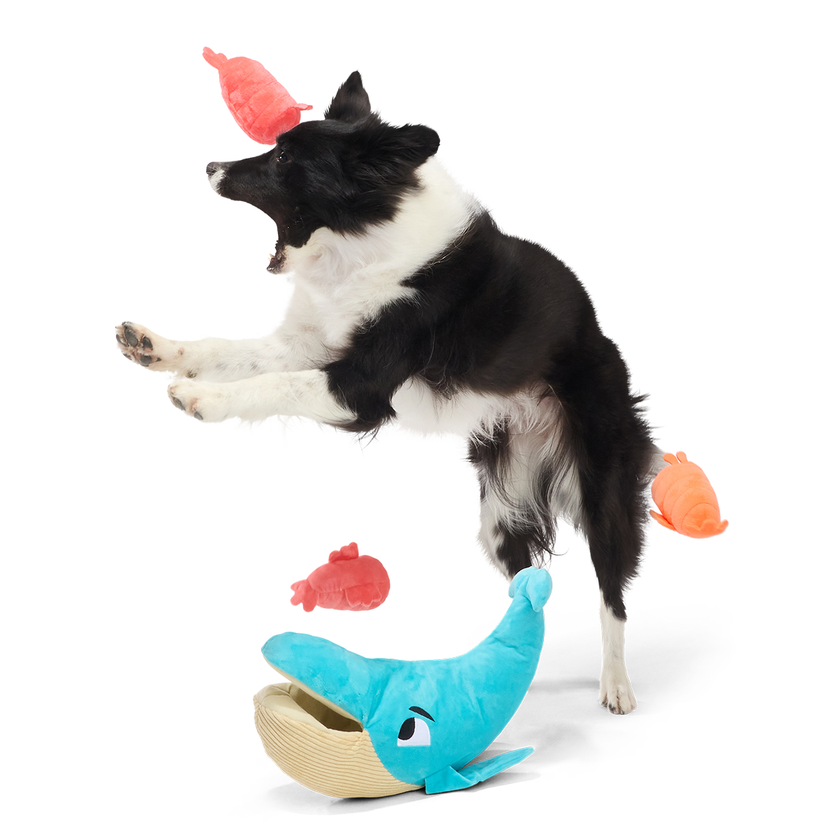 Hungry Hungry Humpback Plush Extra-Large + Multi-Part + Enrichment Dog Toy