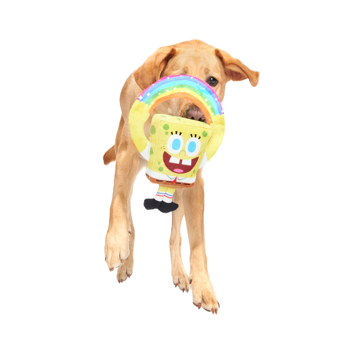 Imaginaaation SpongeBob Plush Tug Dog Toy