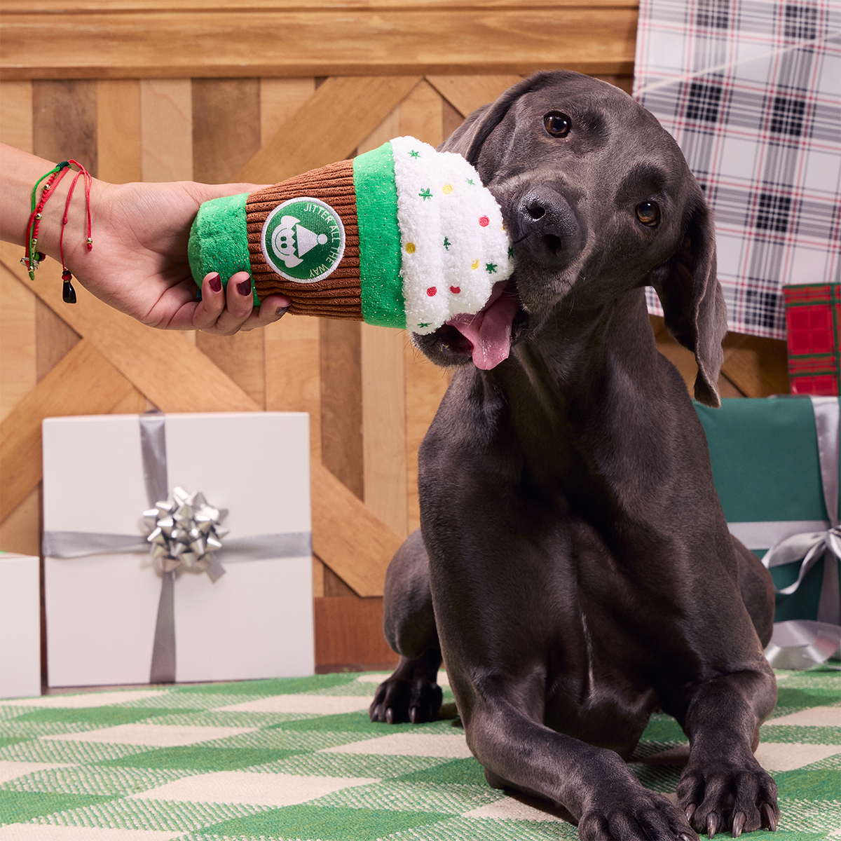 Ho Ho Go Dog Toy and Dog Treat Bundle