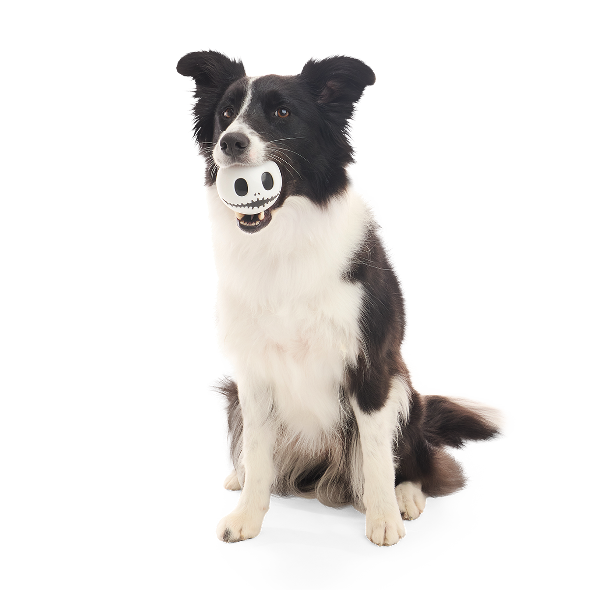 Jack Skullington Super Chewer Durable Fetch Dog Toy