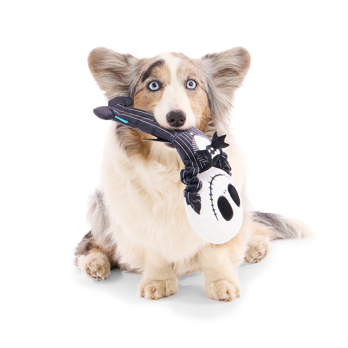 Jack Stretchington Plush Extra-Large + Tug Dog Toy