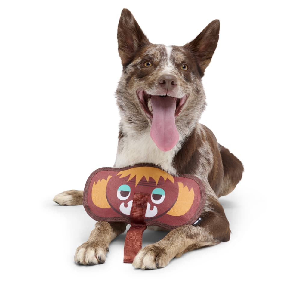 Super Chewer Monthly-Subscription