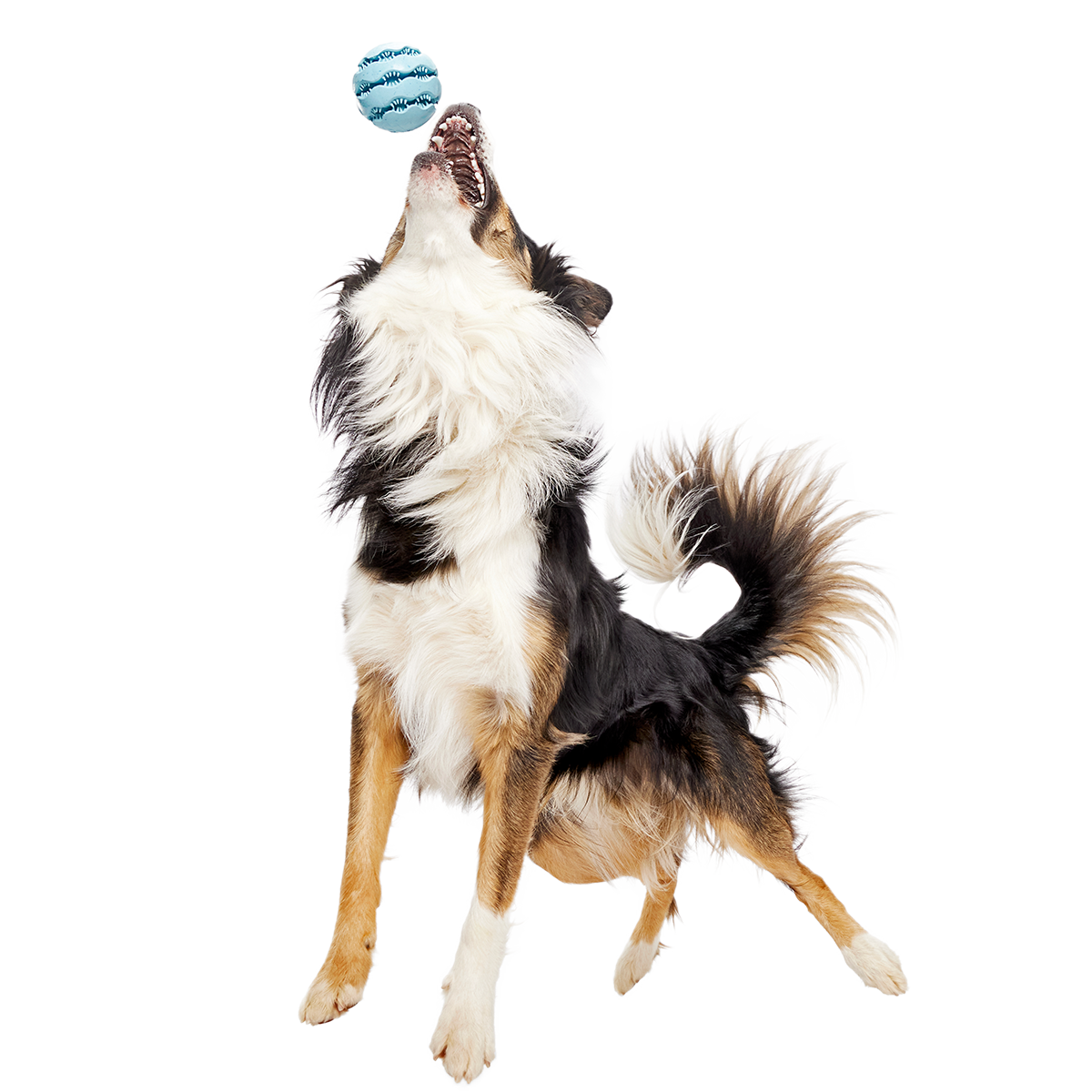 Jawball Super Chewer Durable Fetch + Enrichment Dog Toy