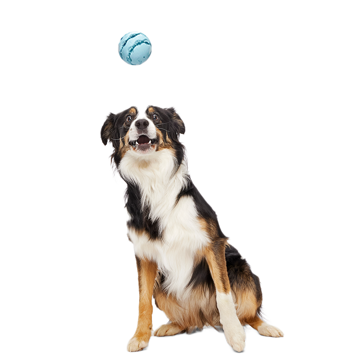 Jawball Super Chewer Durable Fetch + Enrichment Dog Toy