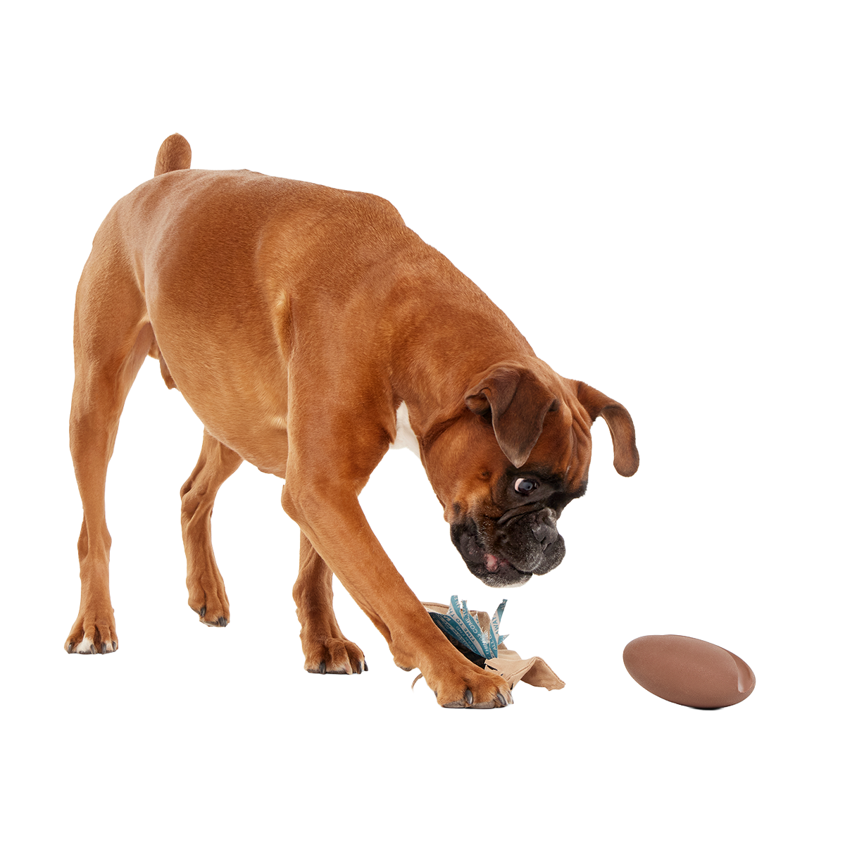 Jitter Pug Coffee Bean Super Chewer Durable 2-in-1 Dog Toy