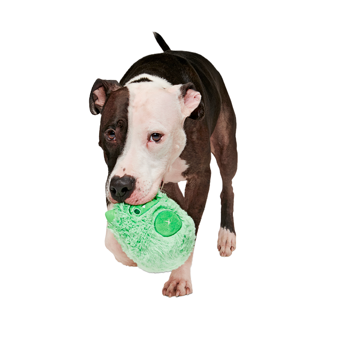 Jolly Green Ice Beast Super Chewer Durable 2-in-1 Dog Toy