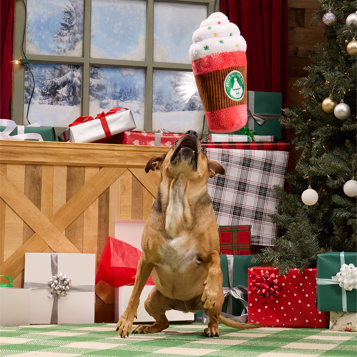 Jumbo Jingle Latte Plush Extra-Large Dog Toy