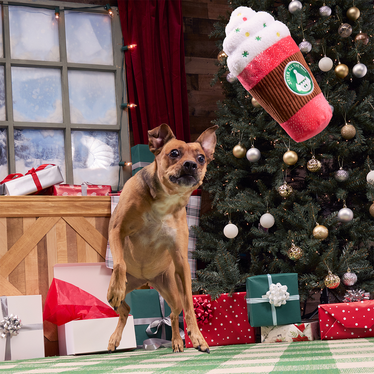 Jumbo Jingle Latte Plush Extra-Large Dog Toy