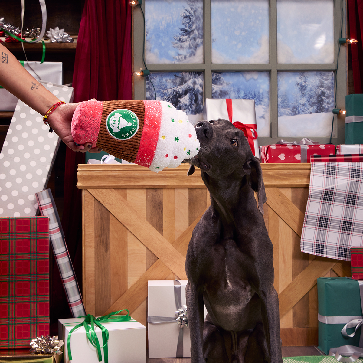Jumbo Jingle Latte Plush Extra-Large Dog Toy