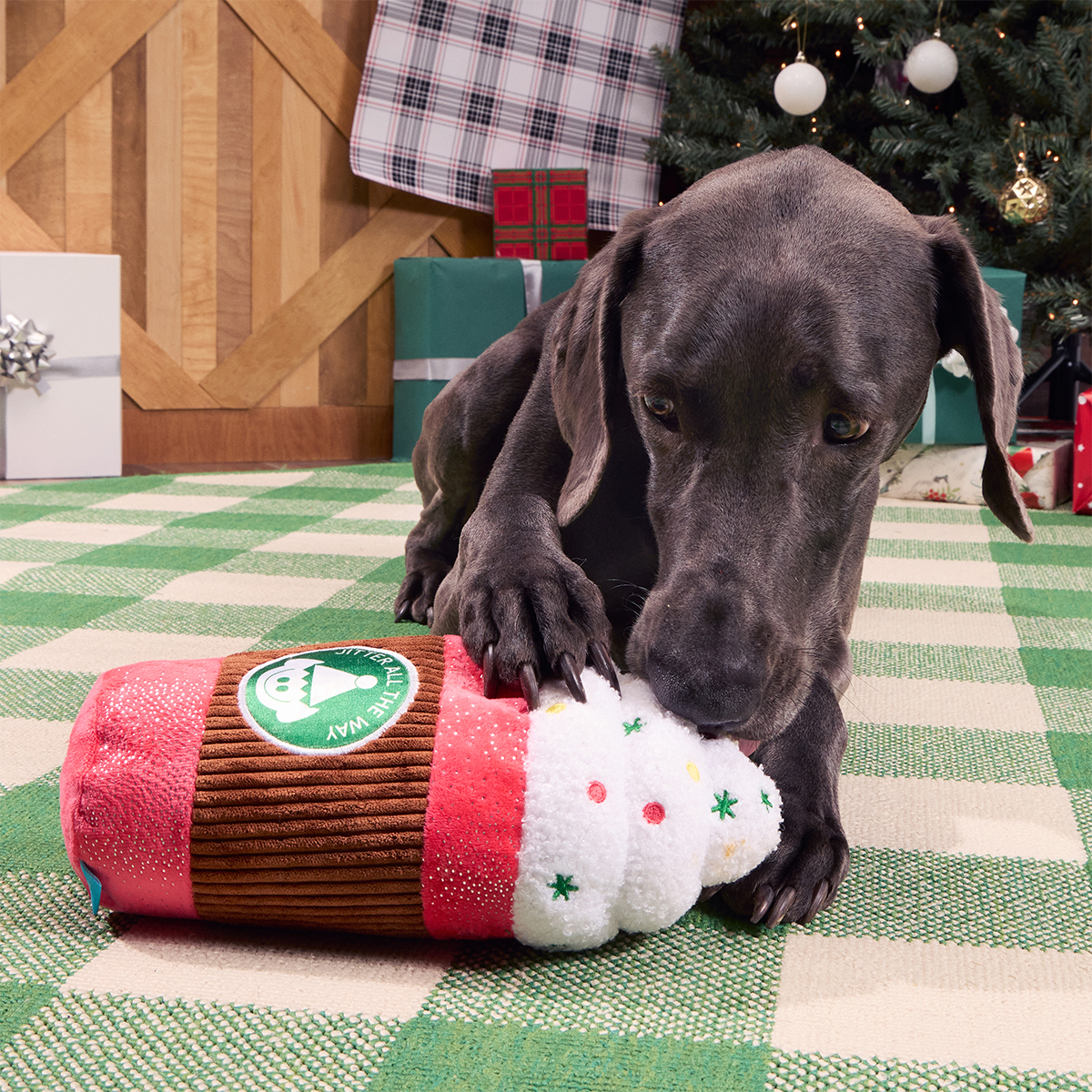 Jumbo Jingle Latte Plush Extra-Large Dog Toy