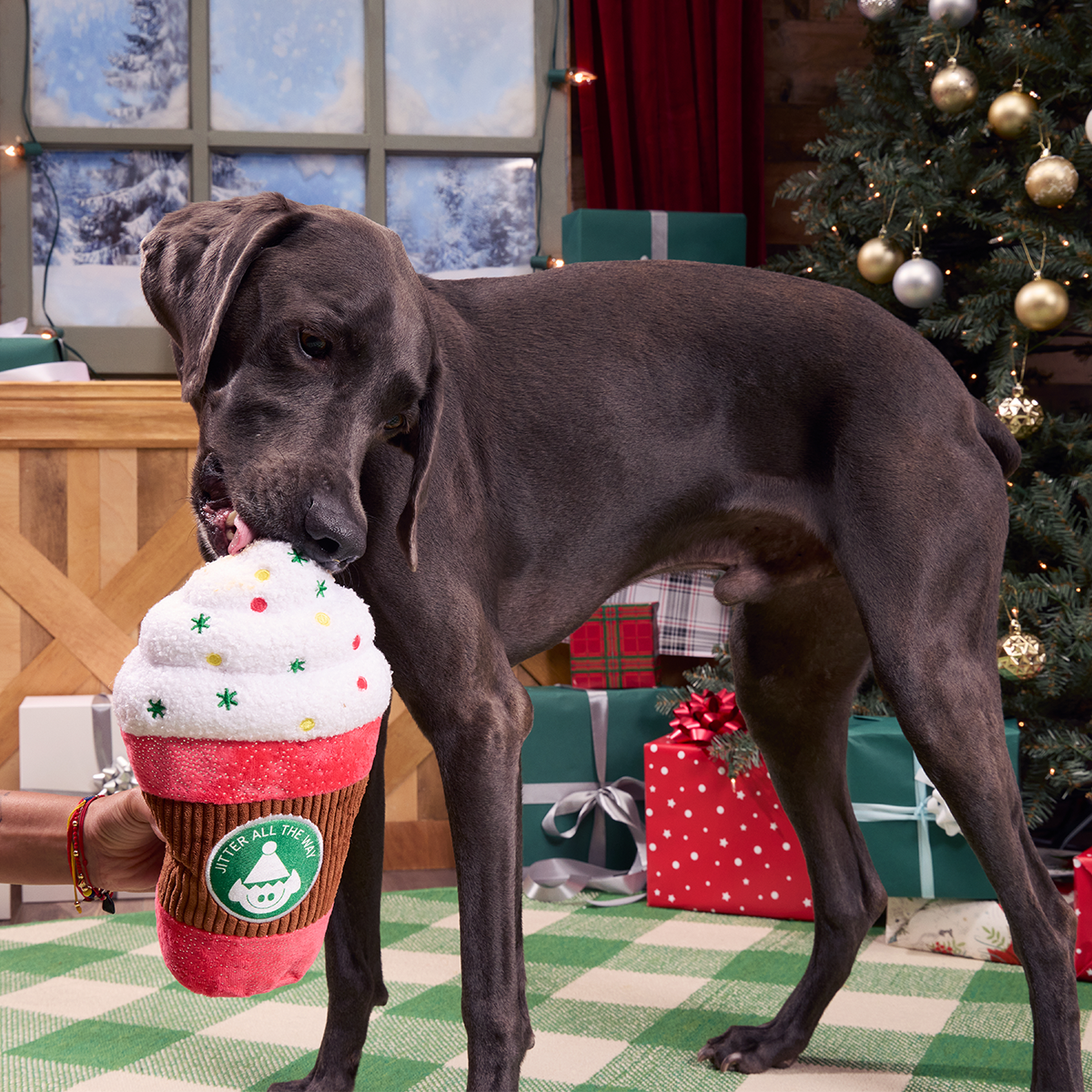 Jumbo Jingle Latte Plush Extra-Large Dog Toy