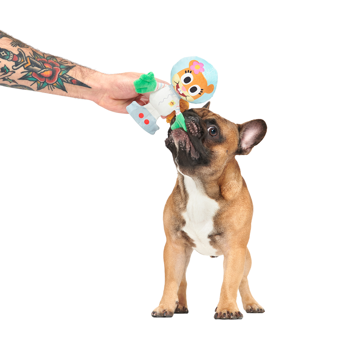 Kah-Rah-Tay Chomp Sandy Plush Tug Dog Toy