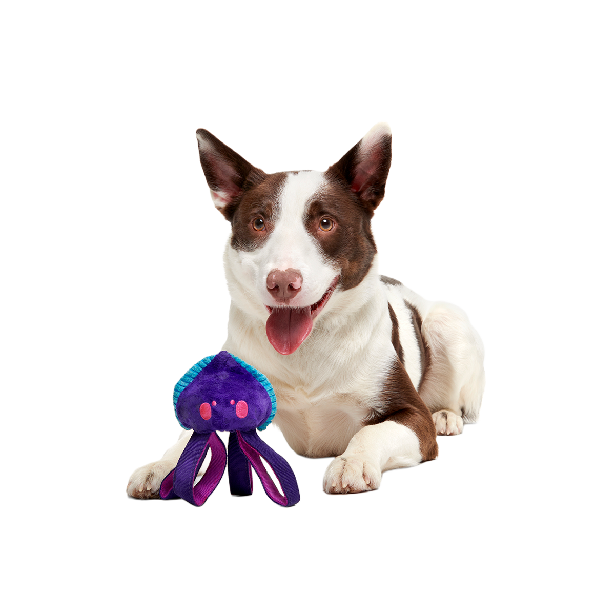 Karen Kraken Super Chewer Durable 2-in-1 + Tug Dog Toy