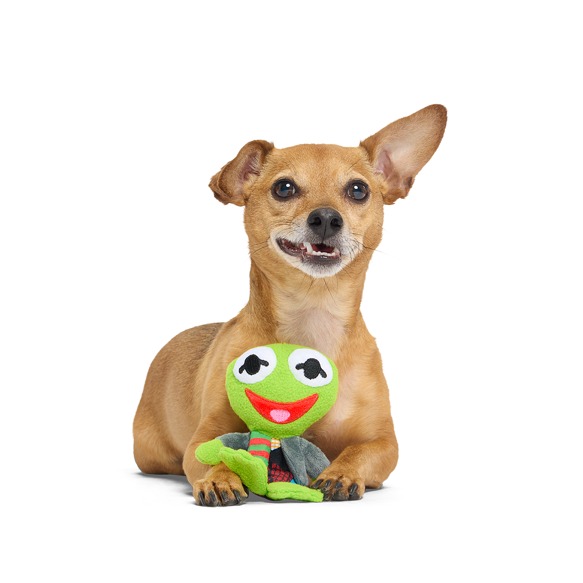 Kermit the Frog as “Bob Catch-It" Plush Tug Dog Toy