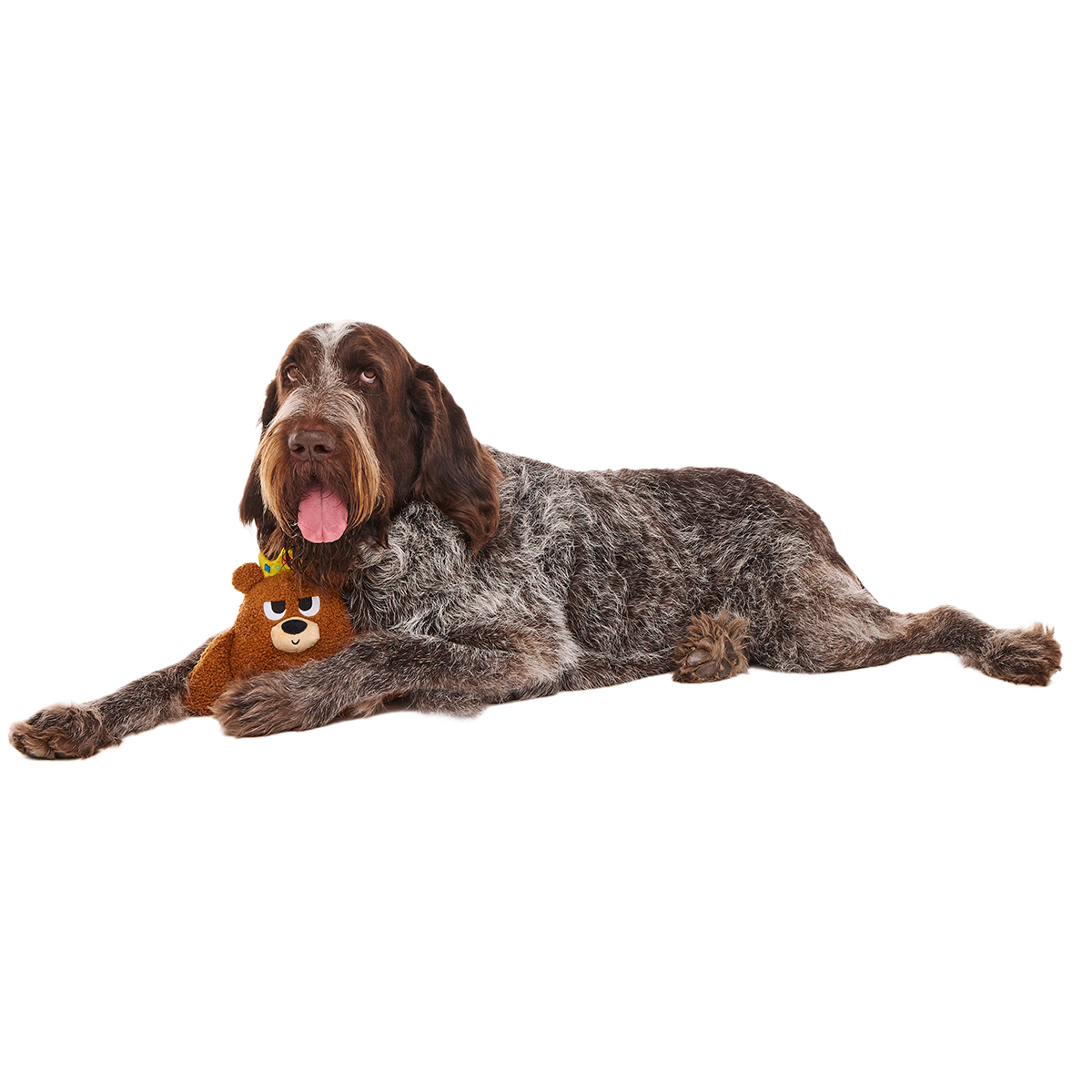 King Bearthur Plush Tug Dog Toy