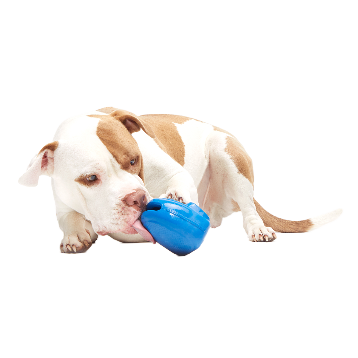 Knapsack Super Chewer Durable Enrichment Dog Toy