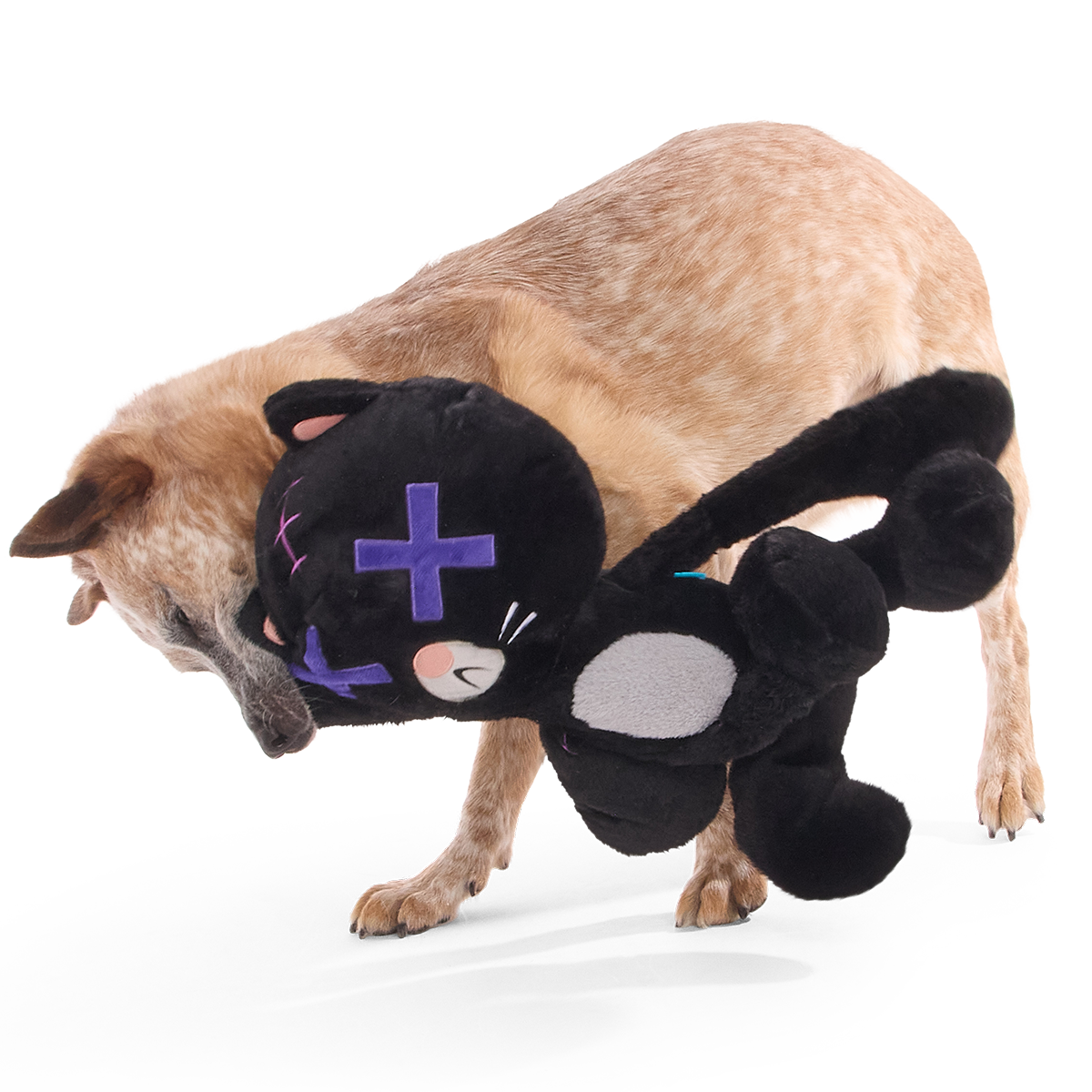 Kolossal Klaus Plush Extra-Large + Tug Dog Toy – BARK