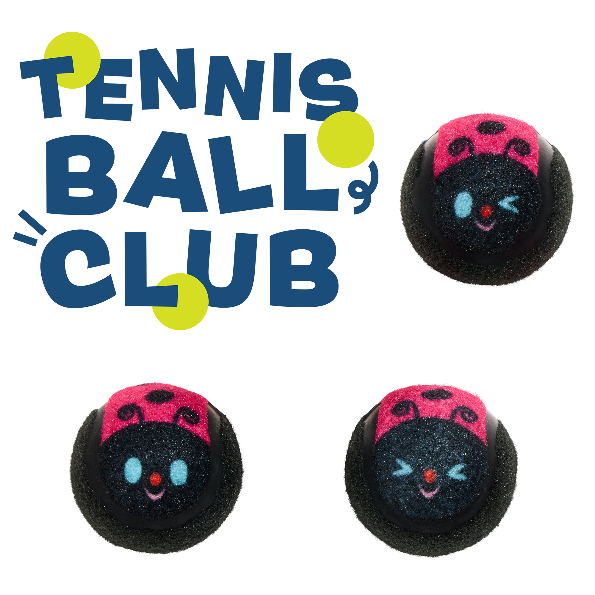 Tennis Ball Club, 3 Squeaky Monthly Tennis Ball Dog Toys