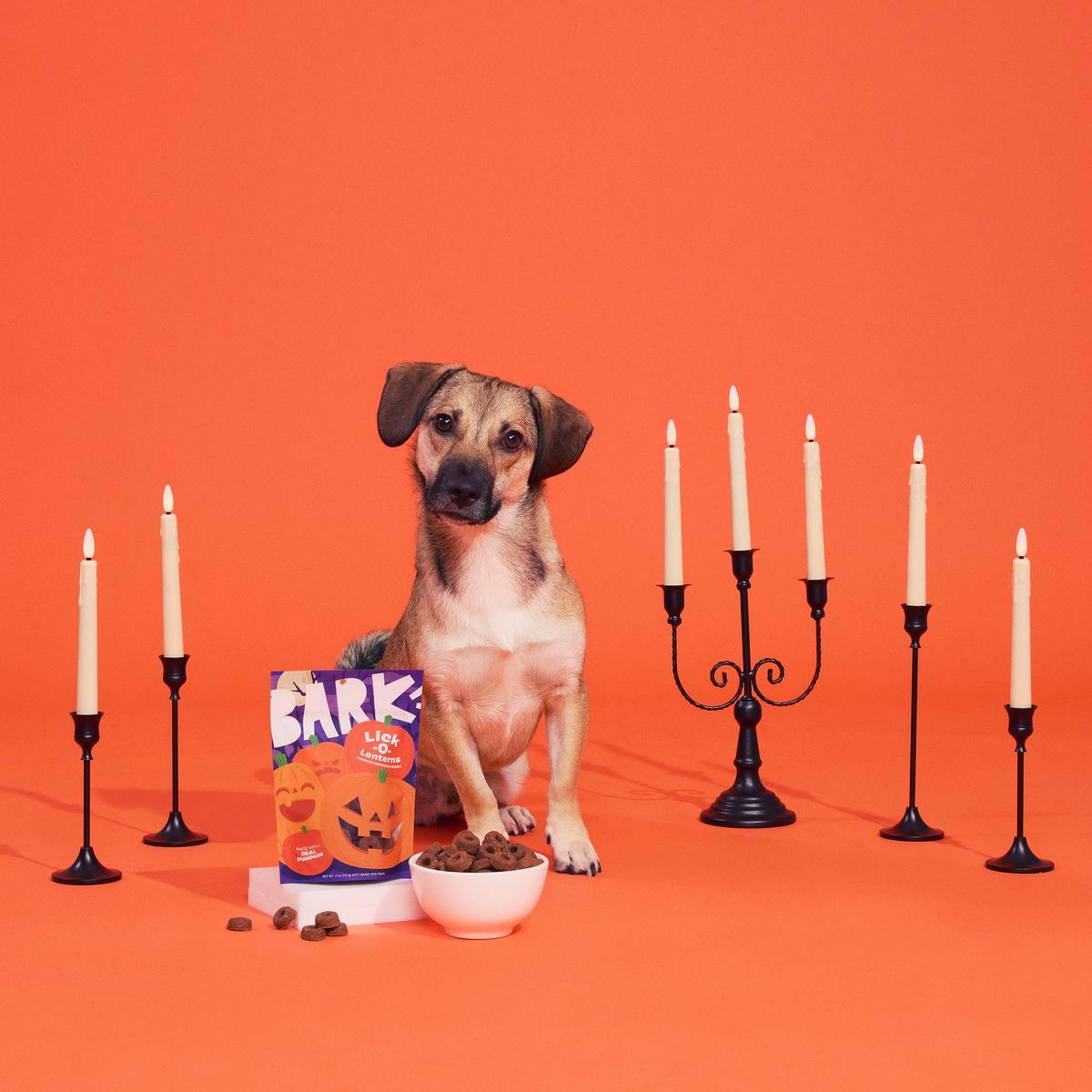 Lick-O-Lanterns Pumpkin Cinnamon Soft-Baked Dog Treats, 4 oz