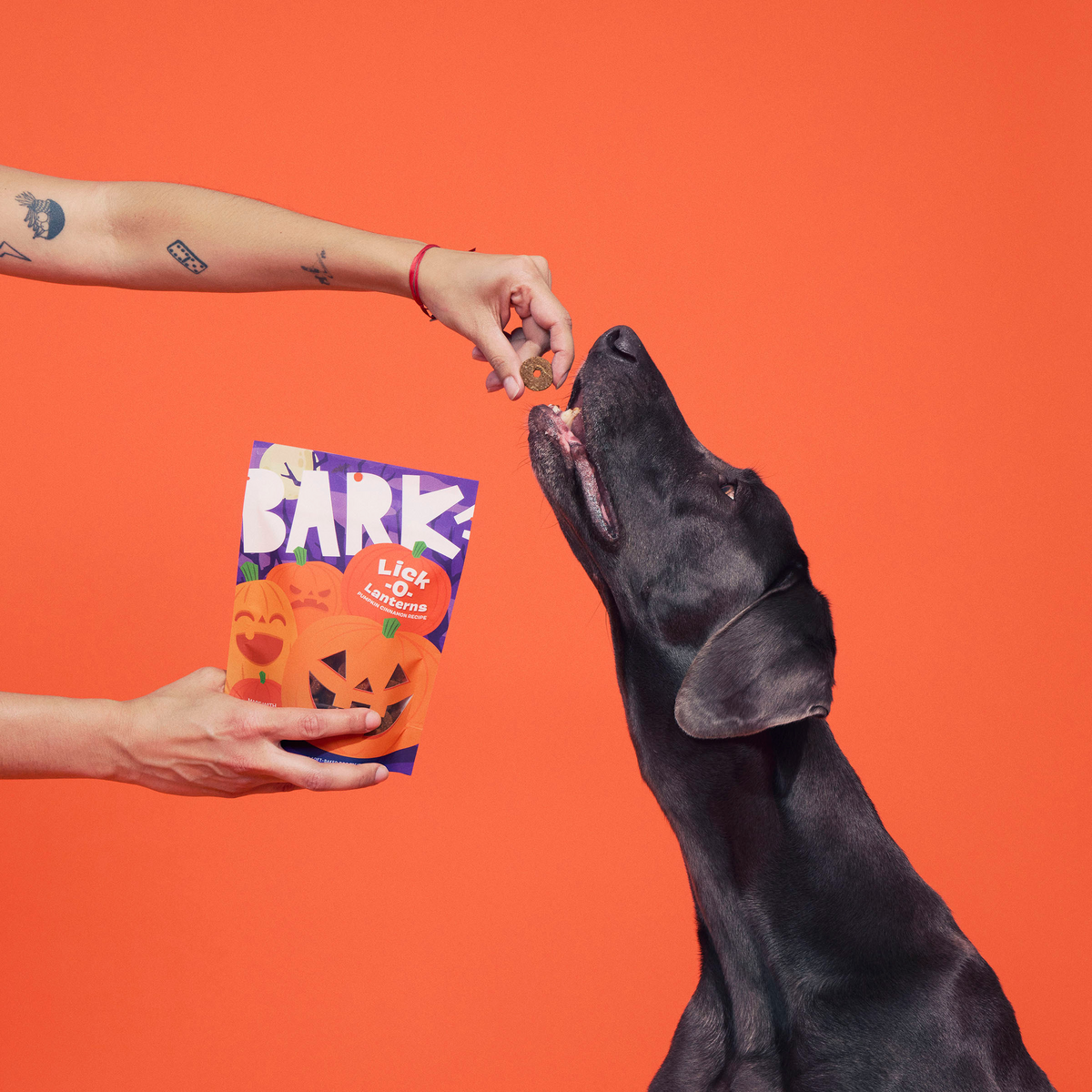 Lick-O-Lanterns Pumpkin Cinnamon Soft-Baked Dog Treats, 4 oz