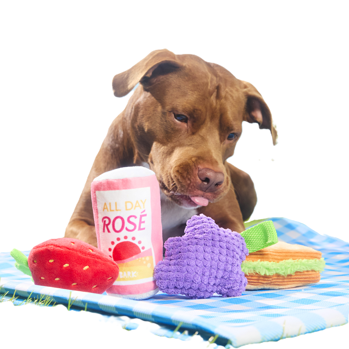 Licknic Pack Plush Multi-Part Tug Dog Toy