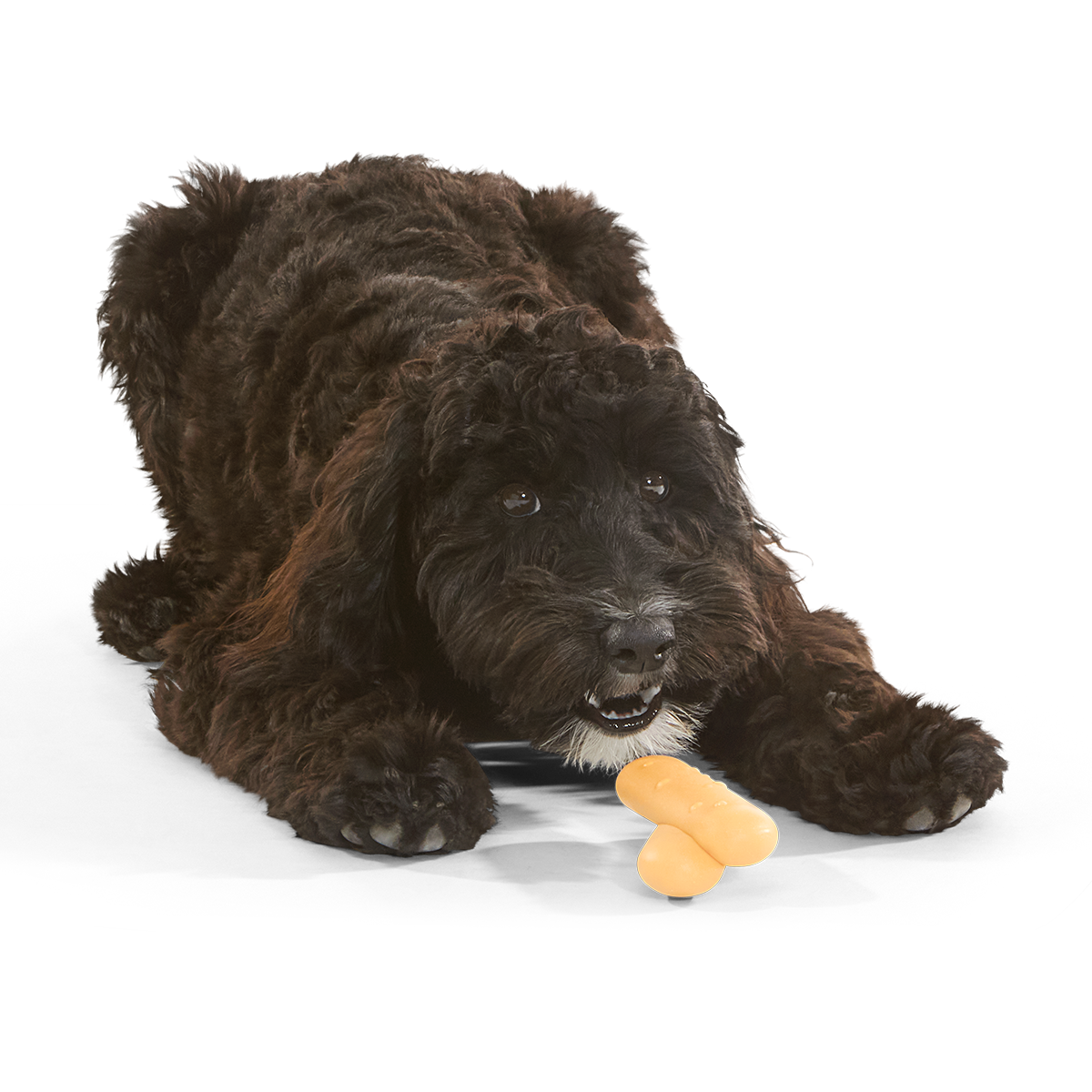 Lady Fingrrrs Super Chewer Durable Gnaw + Enrichment Dog Toy