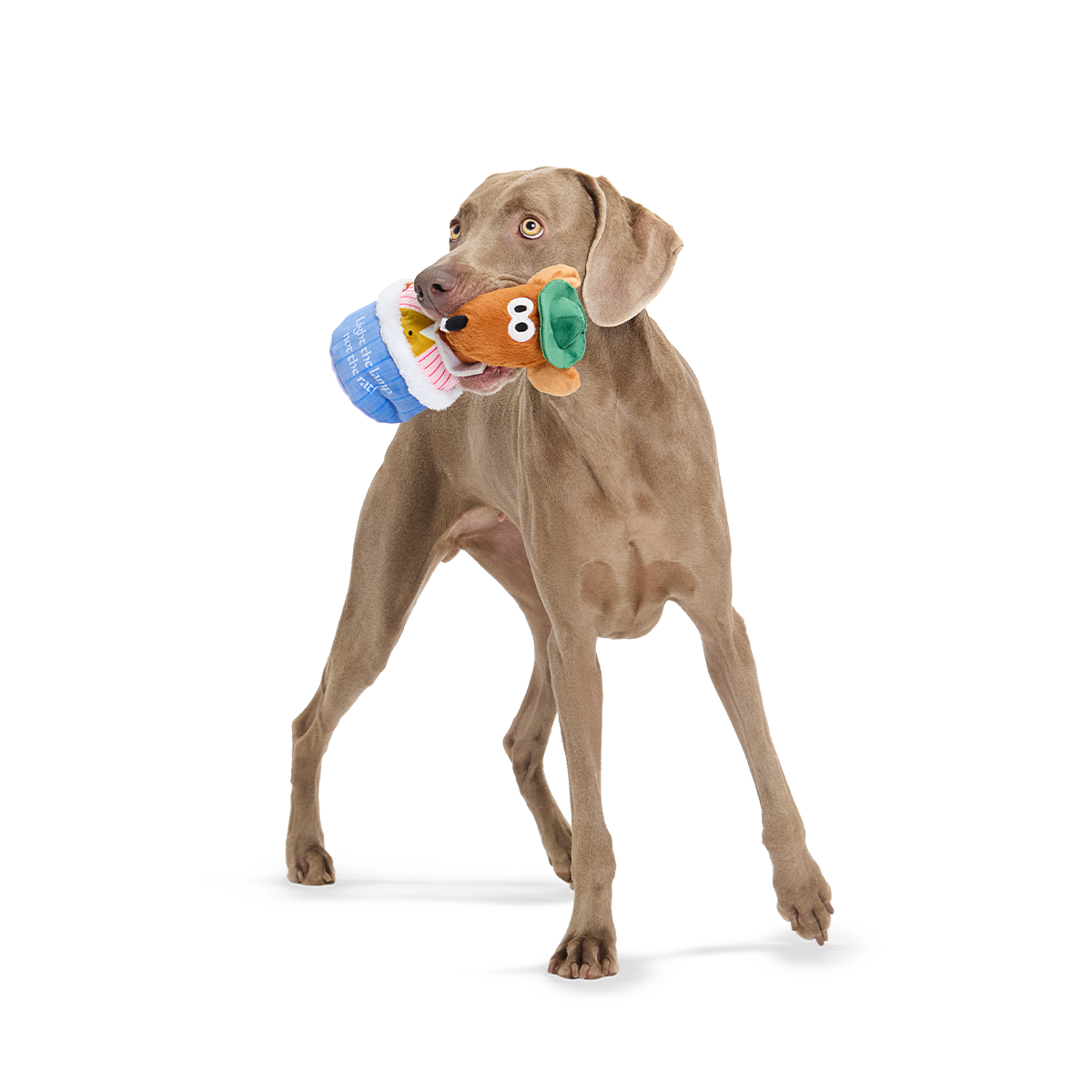 Lamplighter Rizzo the Rat Plush Multi-Part + Enrichment Dog Toy