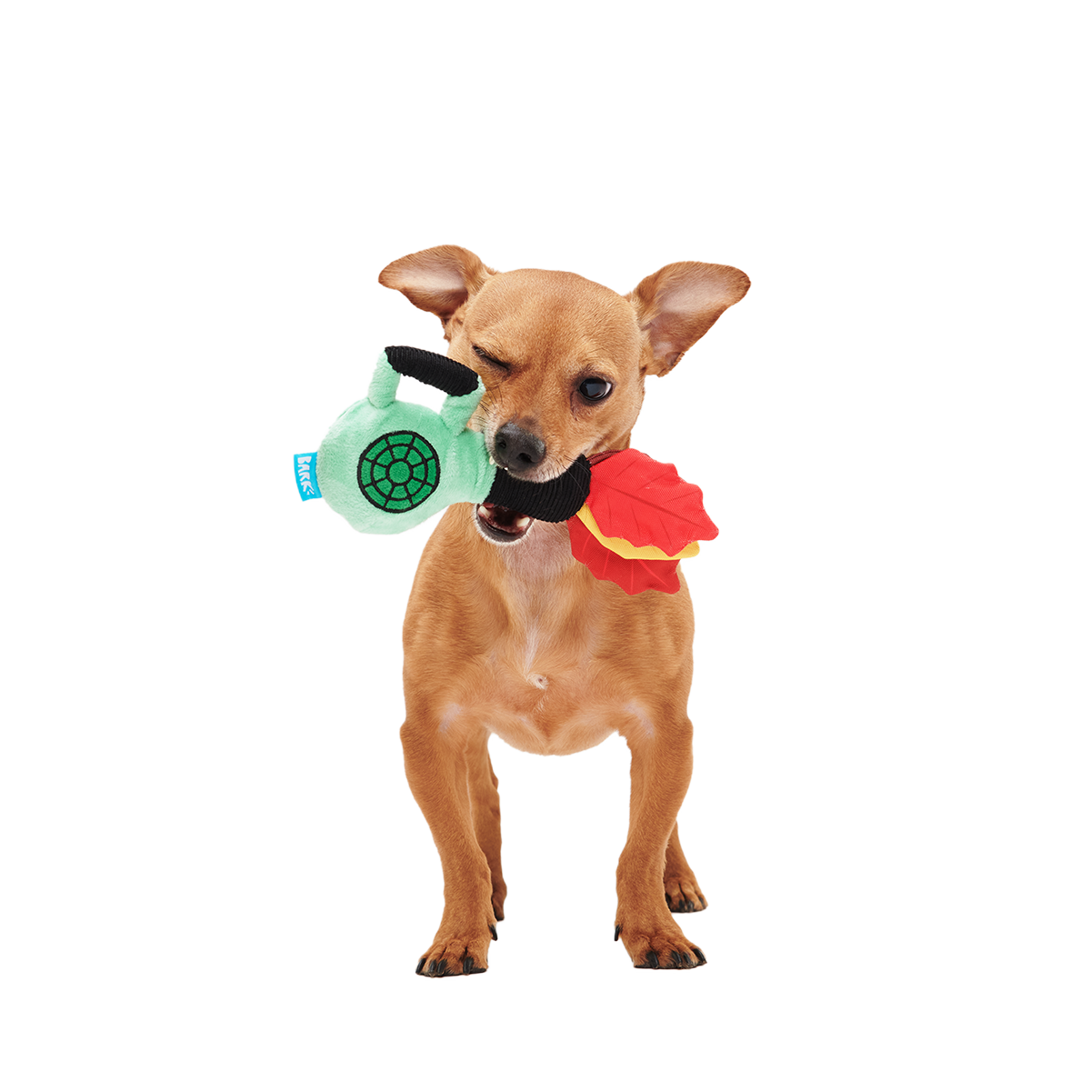 Leaf Blow-Wower Plush Tug Dog Toy