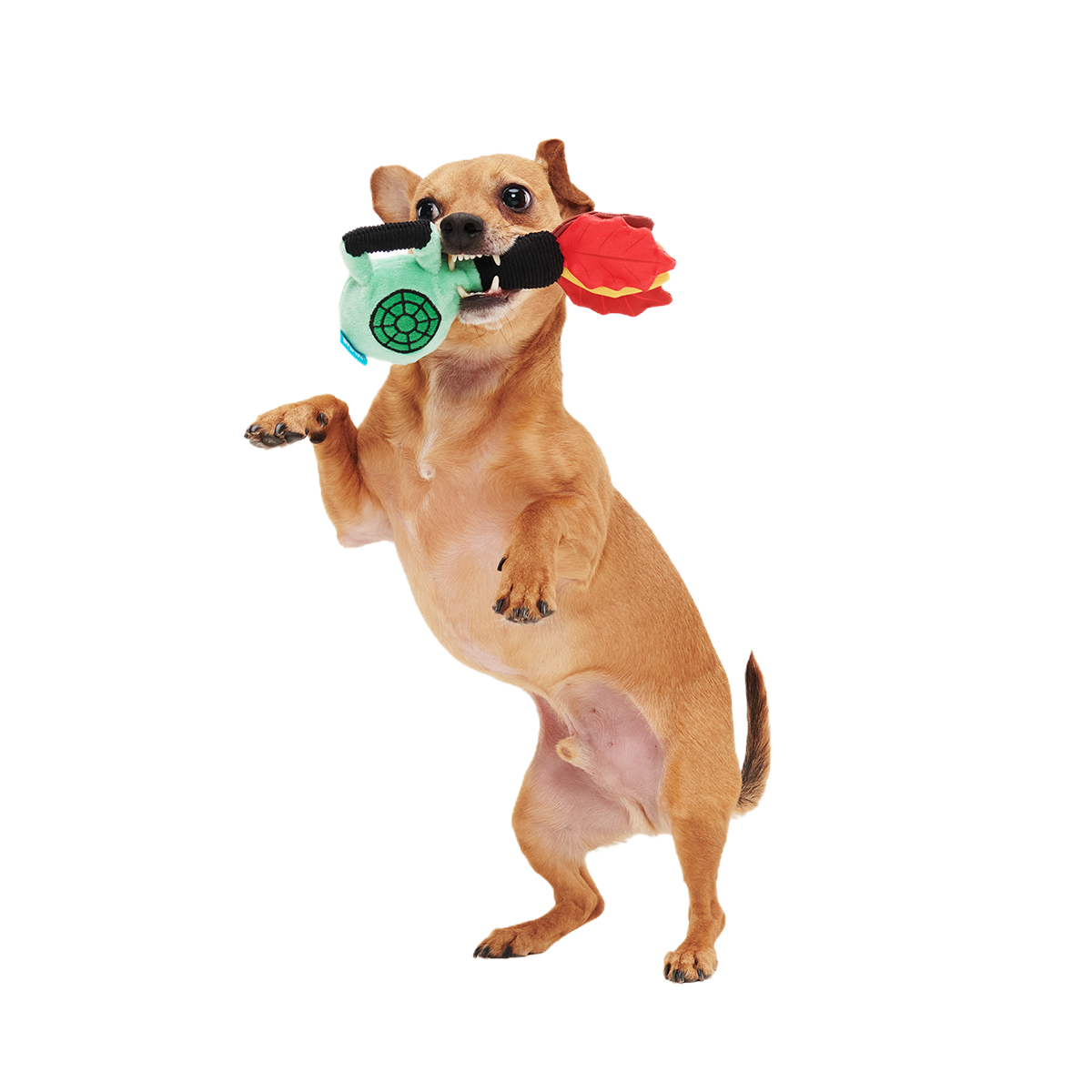 Leaf Blow-Wower Plush Tug Dog Toy