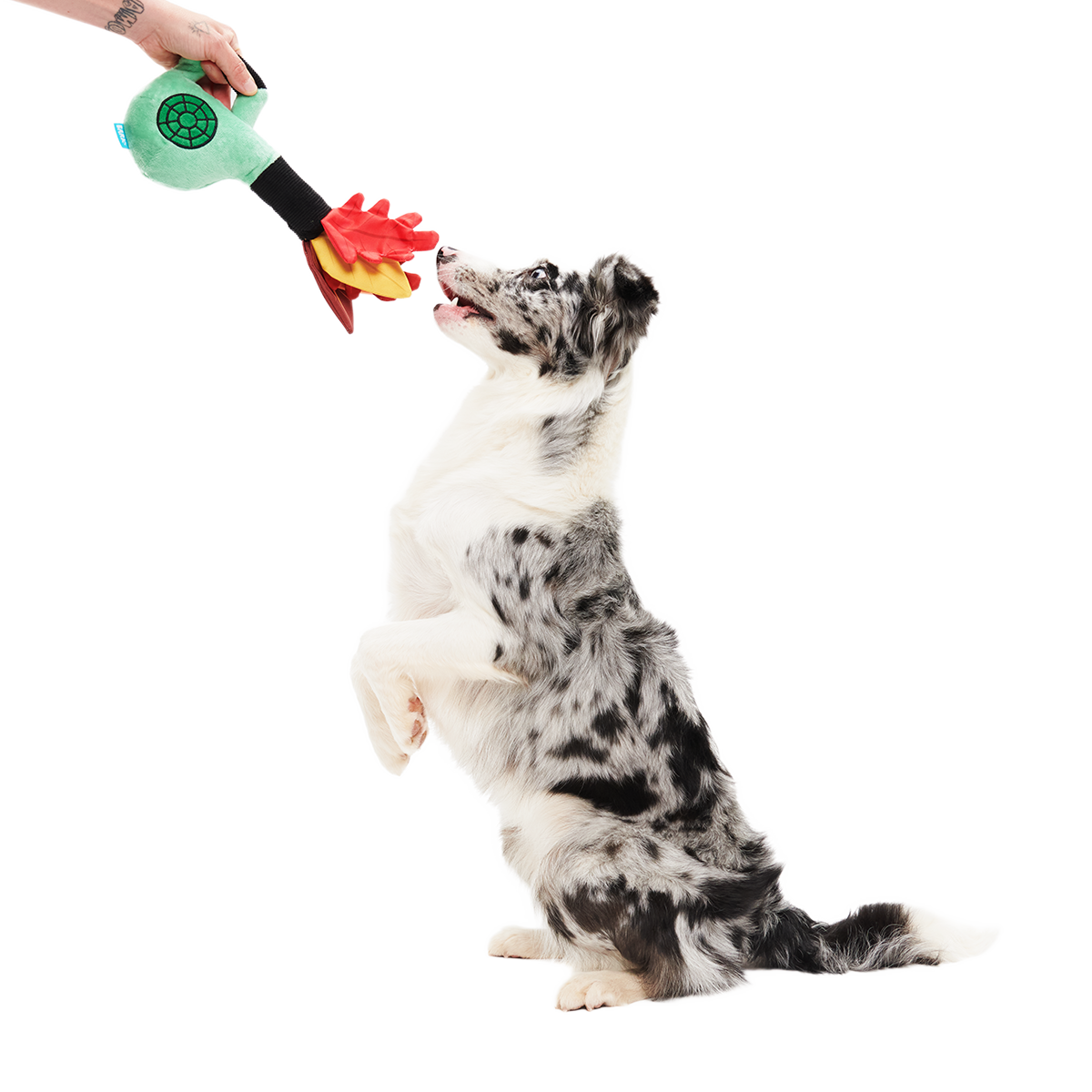 Leaf Blow-Wower Plush Tug Dog Toy