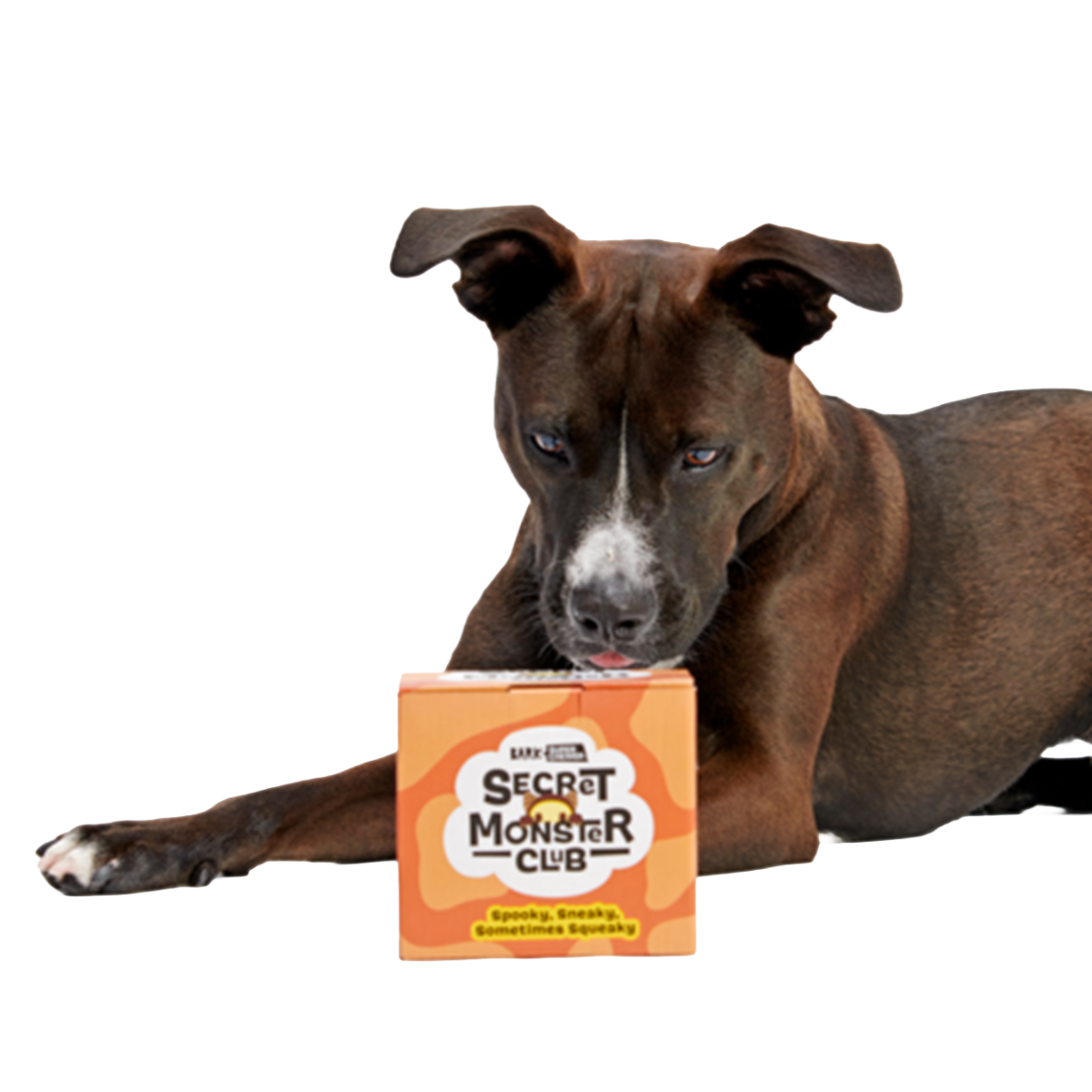 Secret Monster Club, Super Chewer Durable 2-in-1 Rip and Reveal Monthly Dog Toys