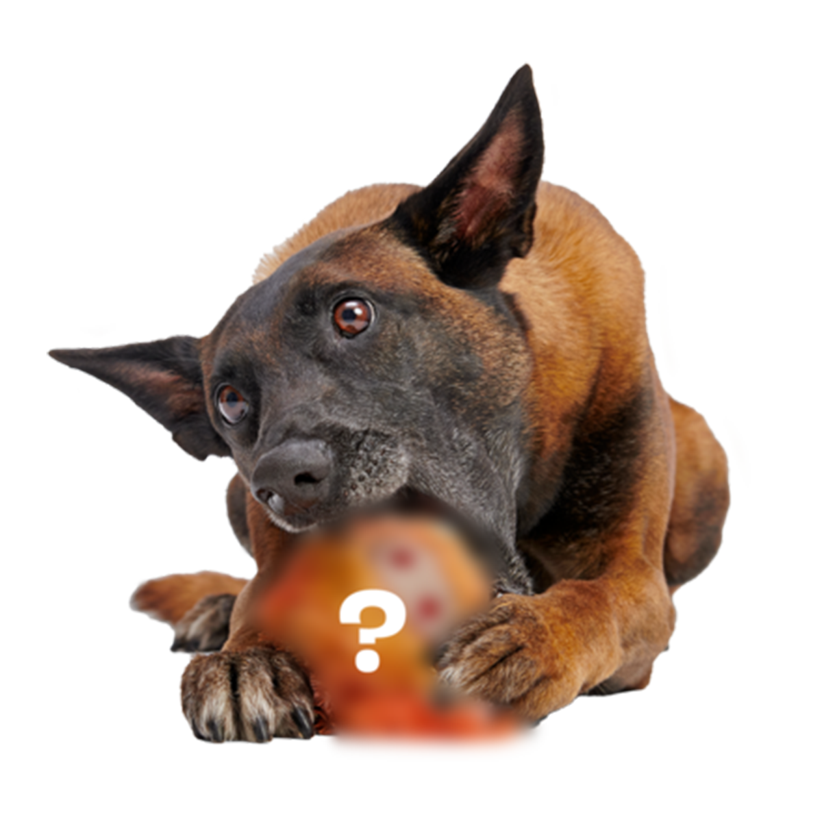 Secret Monster Club, Super Chewer Durable 2-in-1 Rip and Reveal Monthly Dog Toys