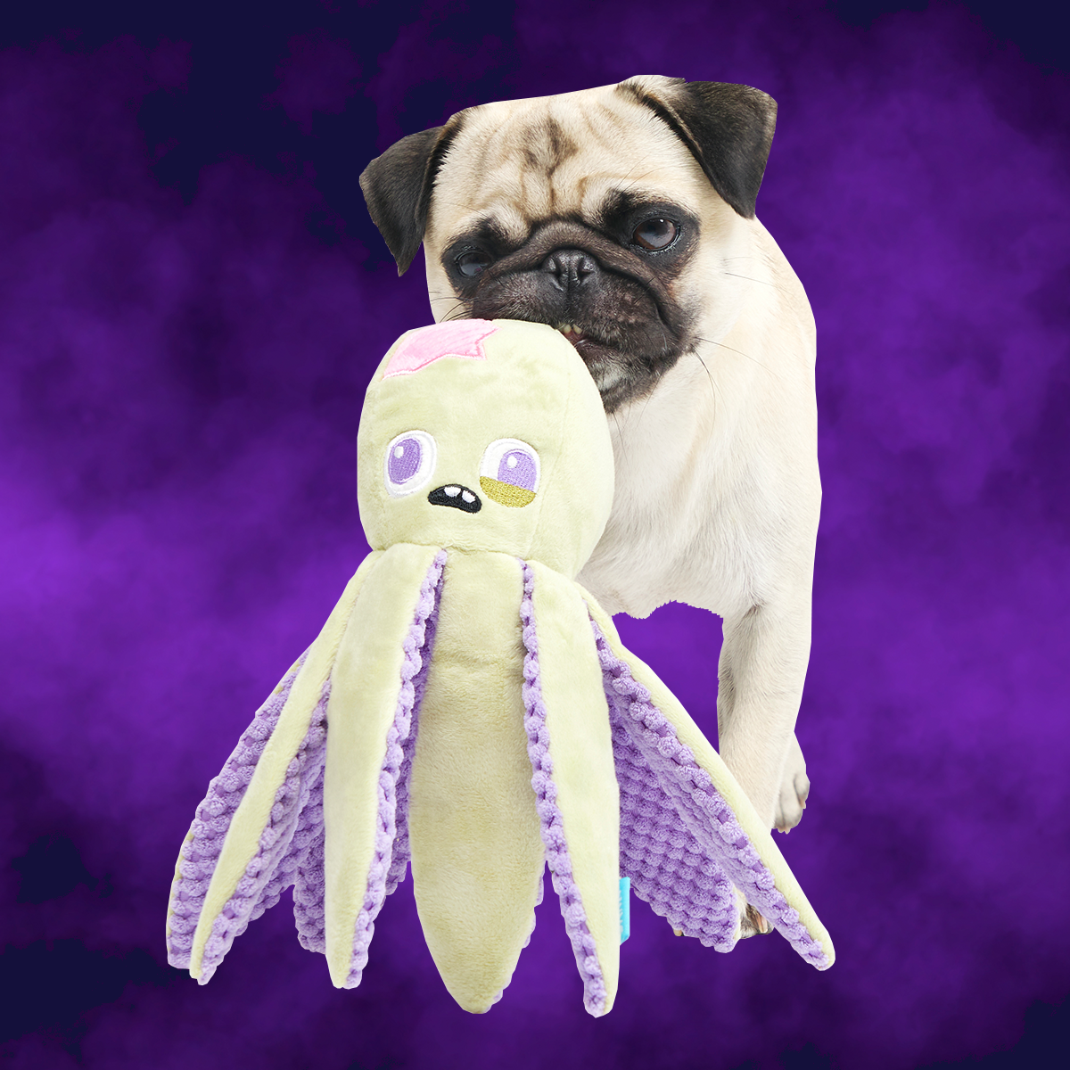 Undead Ollie the Octopus Club