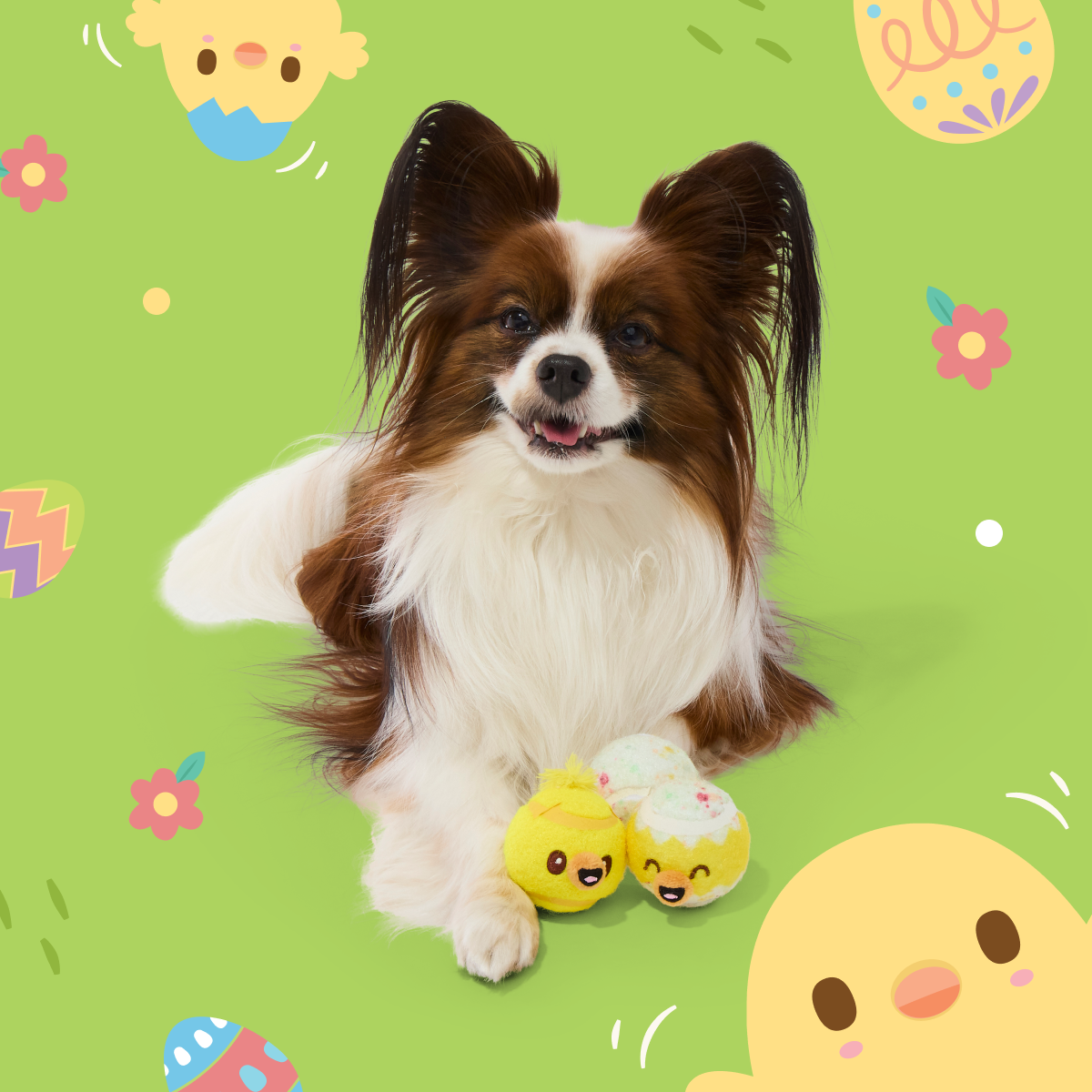 Tennis Ball Club, 3 Squeaky Monthly Tennis Ball Dog Toys