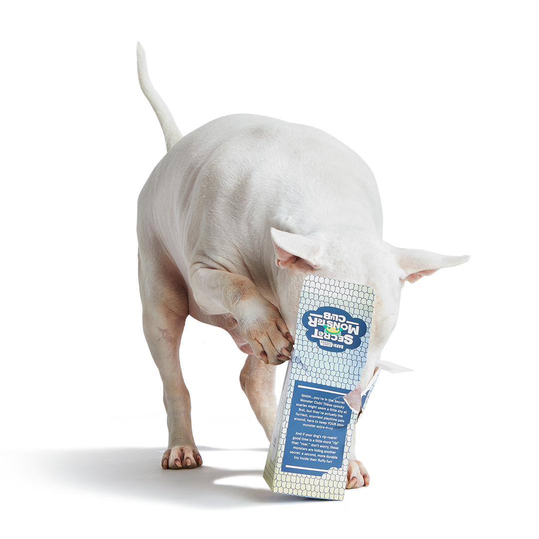 Secret Monster Club, Super Chewer Durable 2-in-1 Rip and Reveal Monthly Dog Toys
