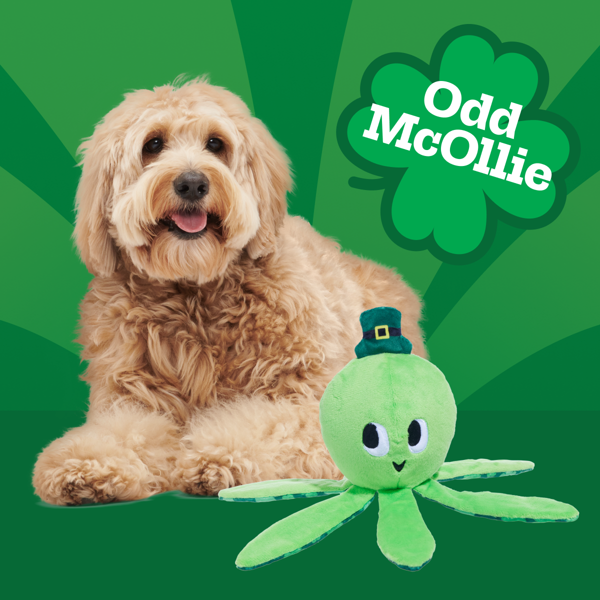 Ollie the Octopus Club