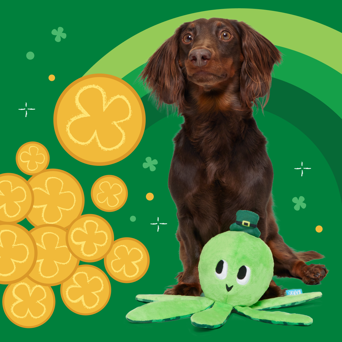 Ollie the Octopus Club