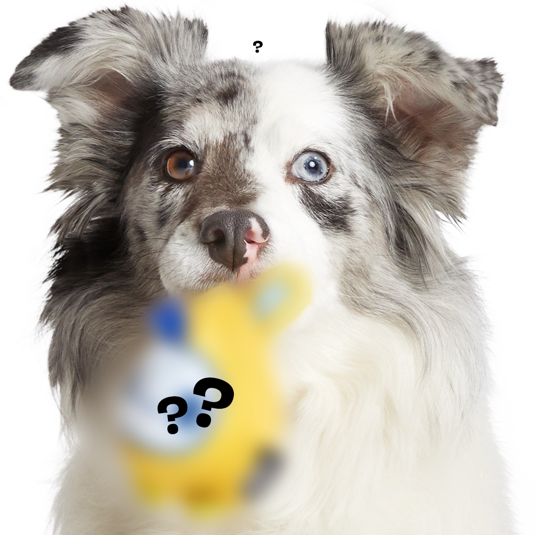 Secret Monster Club, Super Chewer Durable 2-in-1 Rip and Reveal Monthly Dog Toys