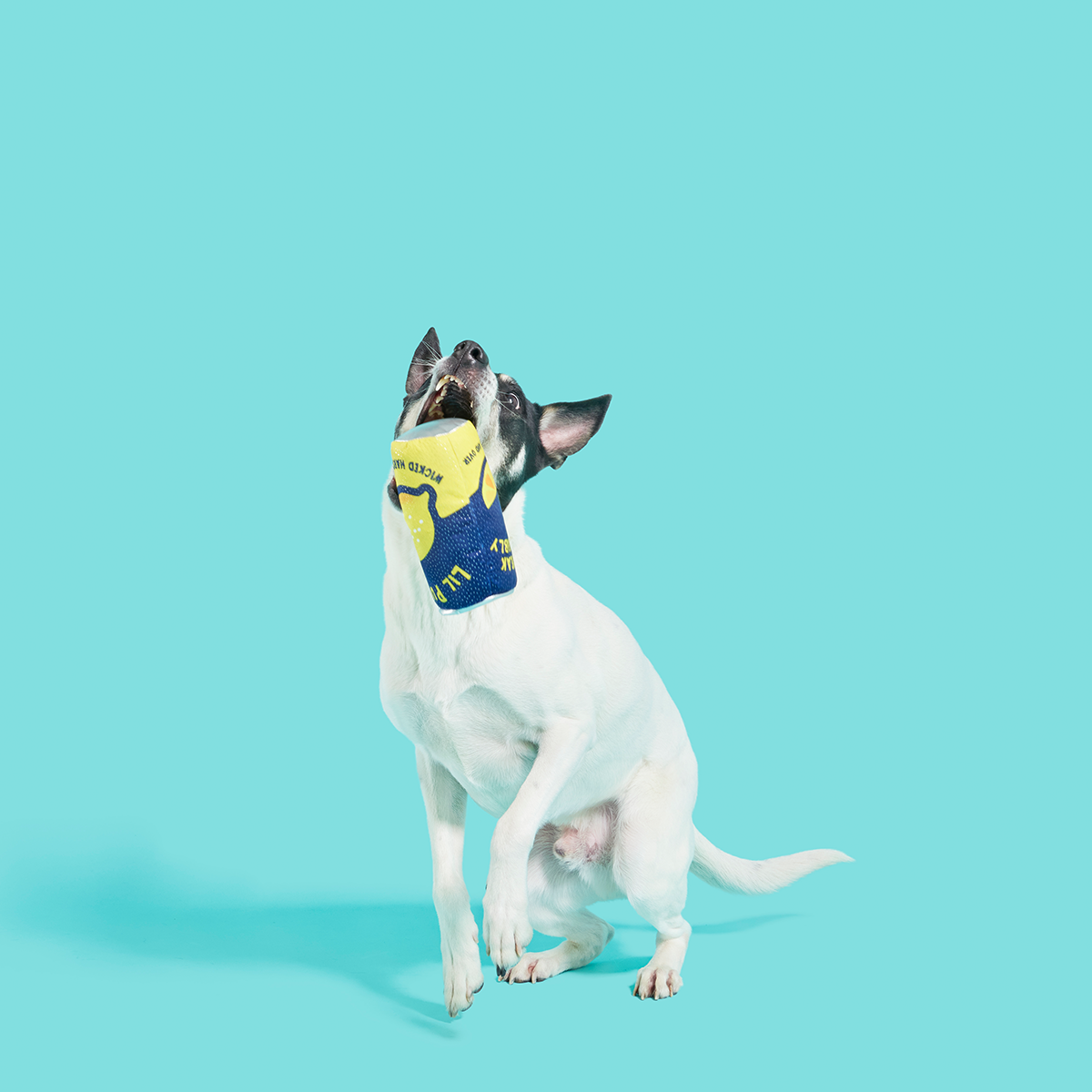 Lil' Pucker's Plush Dog Toy